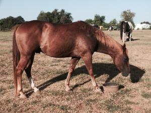 SubstandardFullSizeRender1_1 (2) (1)