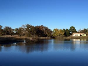 12360132_1234253396588495_1451932973531958499_n