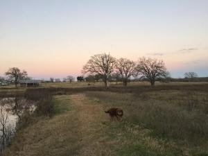 12985416_1332549856758848_4702893957868104396_n